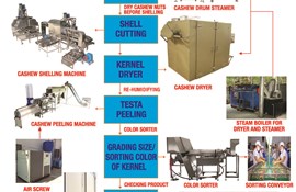 Cashew Processing Manufacture (English)