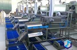 cashew peeling 5/12/2016