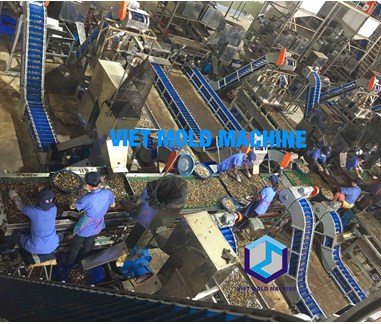 cashew shelling system for all size 40MT RCN/Day