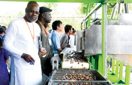 Đột phá ngành điều