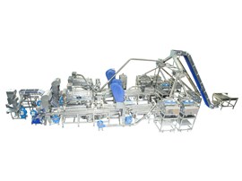 MÁY CẮT HẠT ĐIỀU SM2400-7CHS12 (NEW VERSION 2025)